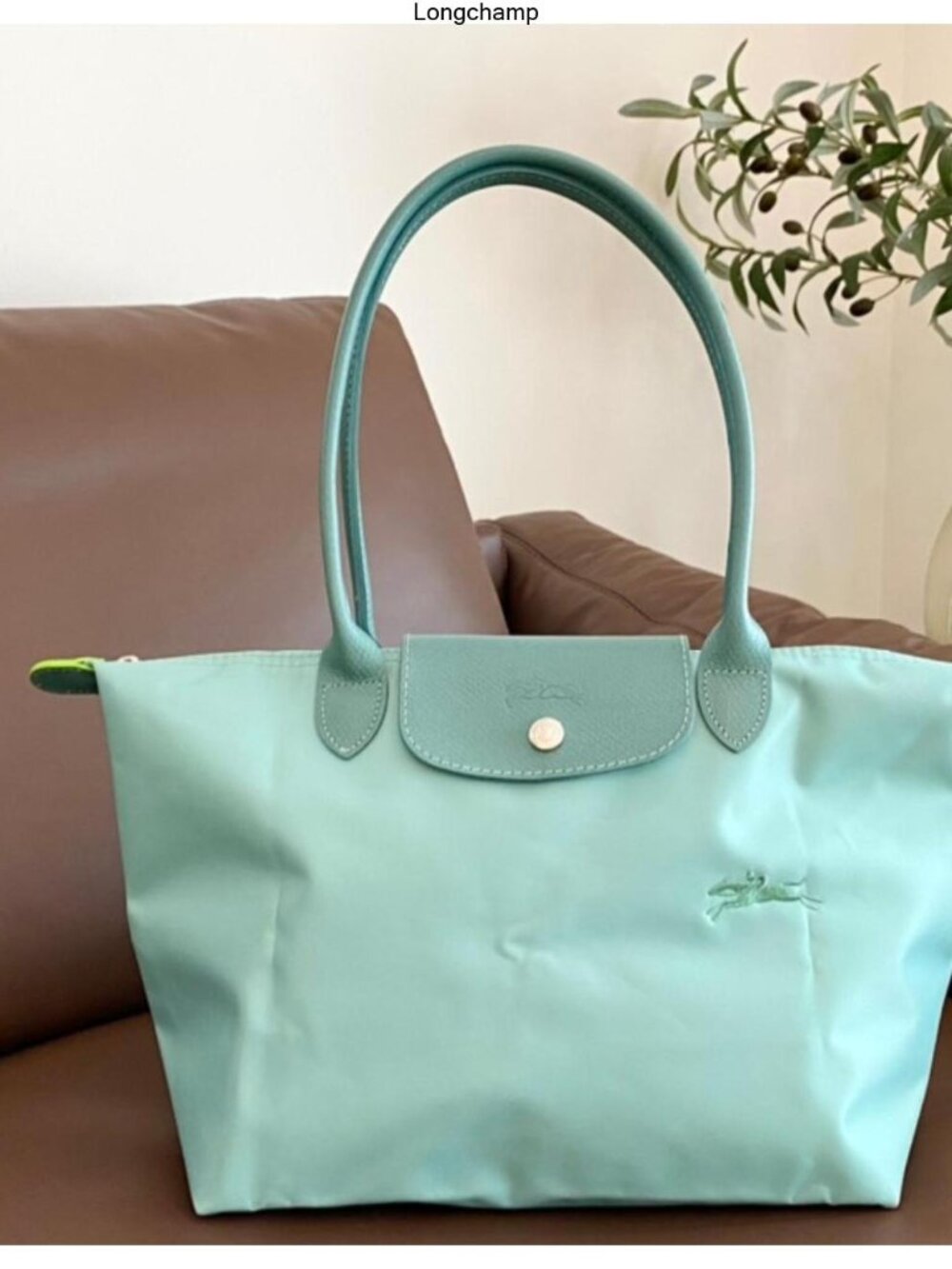 Longchamp women's bags